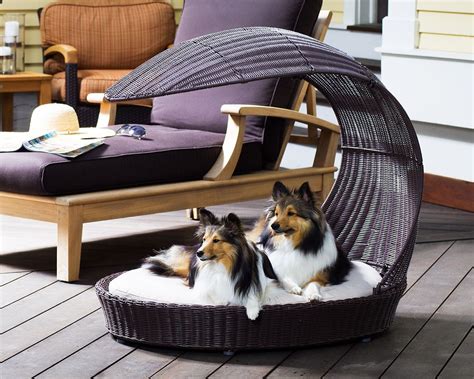 Epic Dog Canopy Bed Ideas | Ann Inspired