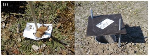 Example of (a) bait trap and (b) pitfall traps. | Download Scientific ...