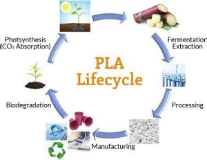 Polylactic Acid (PLA) Production: The World’s Favourite Polymer | NIIR Blog