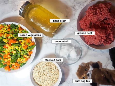 How to Make Homemade Dog Food - Stovetop Directions - Southern Bytes