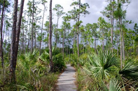 Everglades National Park hiking trails - Right Kind Of Lost