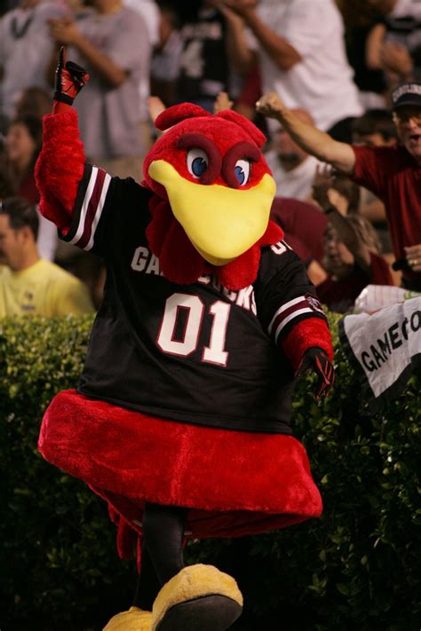 Cocky's Legendary Sandstorm Dance Unites USC Tailgaters and Swimmers