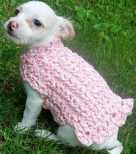 Crochet Pattern--------------Adorable Dog Sweater-------------For girls ...