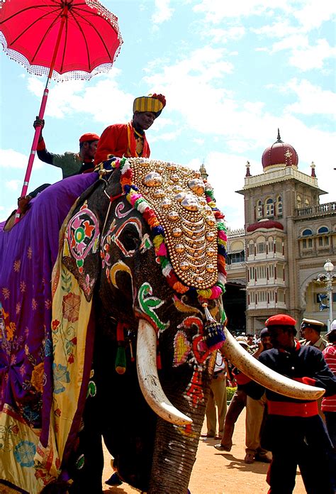 Mysuru Dasara | Vijayadashami | Jambu Savari | Kite Festival in Mysore