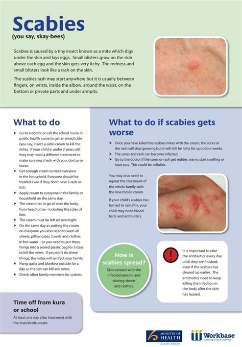 Permethrin (for scabies) | Healthify