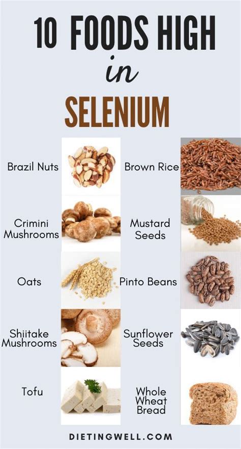 Foods With Selenium Vegan - Food Network B