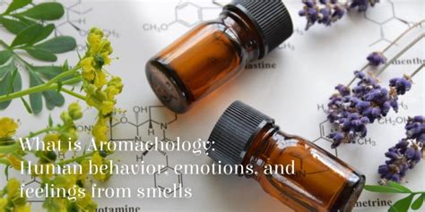 What is Aromachology & Why is Important for Scent Marketing?