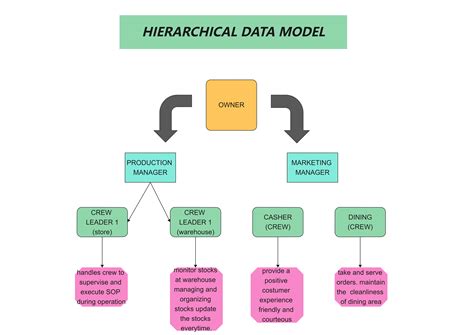 Free Editable Hierarchical Organizational Chart Examples | EdrawMax Online