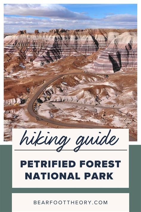 6 Best Petrified Forest National Park Hikes – Bearfoot Theory