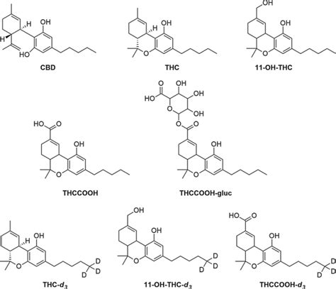 Figure 6 11-hydroxy-THC - SaintyTec