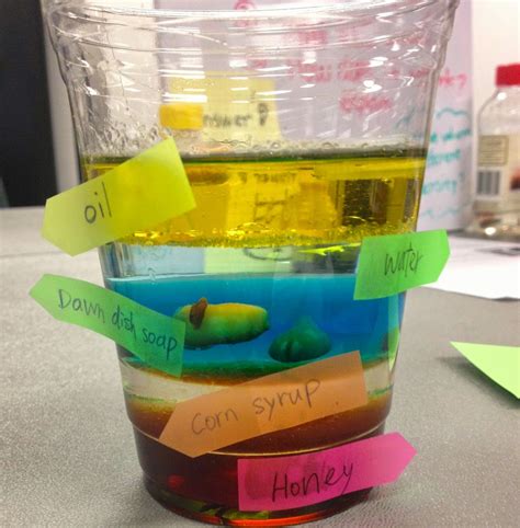 Density Experiment With Different Liquids