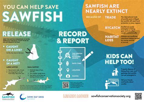 International Sawfish Day — Sawfish Conservation Society