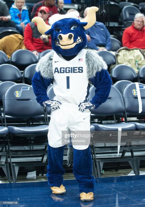 The Utah State mascot Big Blue just before a game between the Weber ...