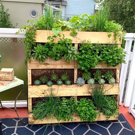 Eco-Friendly and Stylish Pallet Garden Designs for Your Home