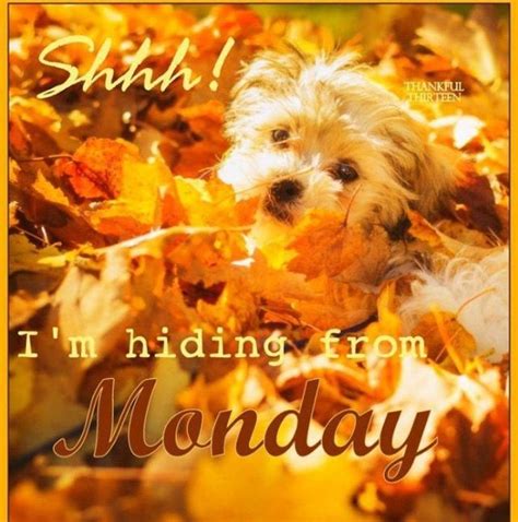 Monday- Fall~ | Monday pictures, Good morning good night, Monday ...