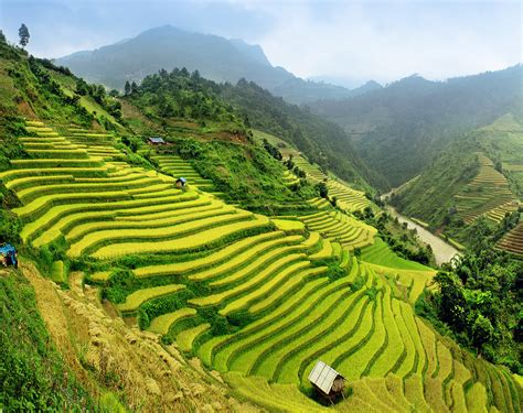 Paddy Fields, Vietnam | 83 Unreal Places You Thought Only Existed in ...