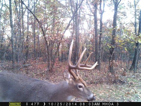 Early Season Update - Missouri Hunting & Outdoor Adventures