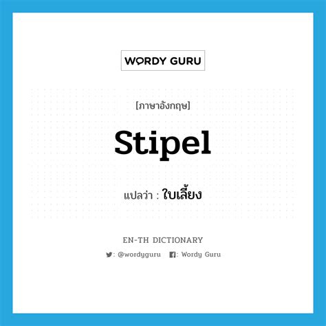 "stipel" แปลว่าอะไร - EN-TH Dictionary