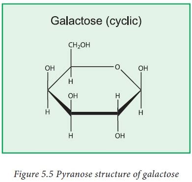 Structure of Glucose, Fructose and Galactose