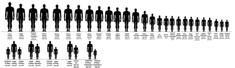 OC height chart and comparison by iisjah on DeviantArt