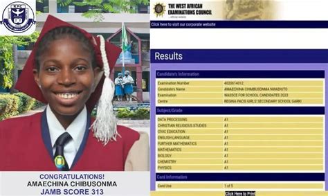 WAEC RESULT 2023 TOP SCORER IN NIGERIA - Scholarship Alarm