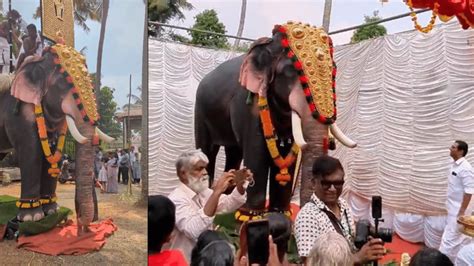 Kochi temple gets robotic elephant to perform rituals - Watch | Viral ...