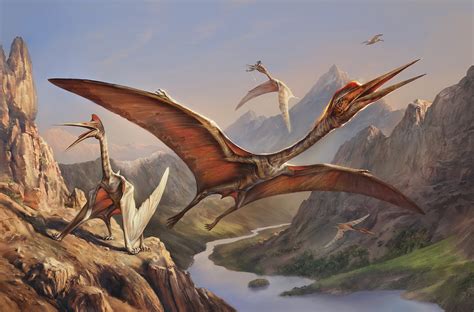 Quetzalcoatlus on Behance