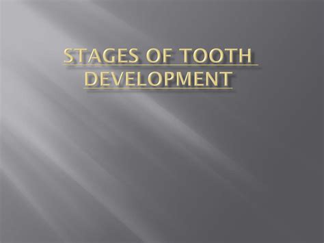 SOLUTION: Stages of tooth development - Studypool