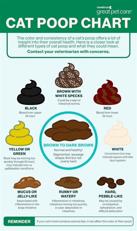 Abnormal Cat Poop Chart: Colors, Consistencies | Great Pet Care