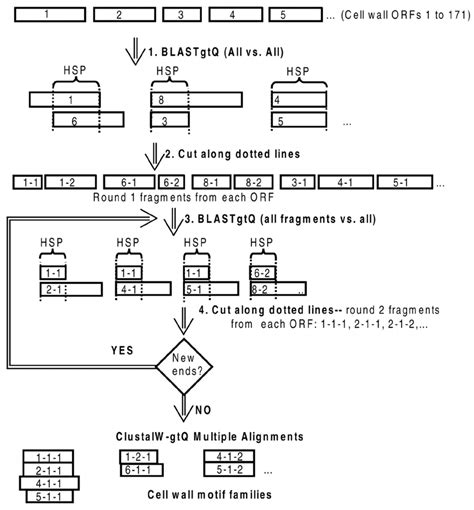 Fragmentation process (1) | Download Scientific Diagram