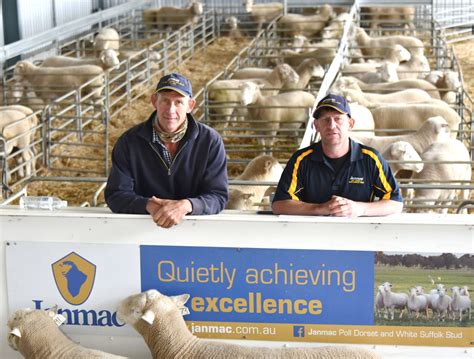 Wimmera brothers shortlisted for Zoetis Trade Champion award. | Janmac