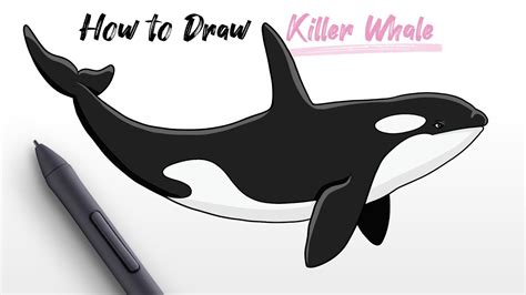 Orca Drawing