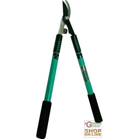 LOPPERS WITH TELESCOPIC HANDLE IMP. 21330