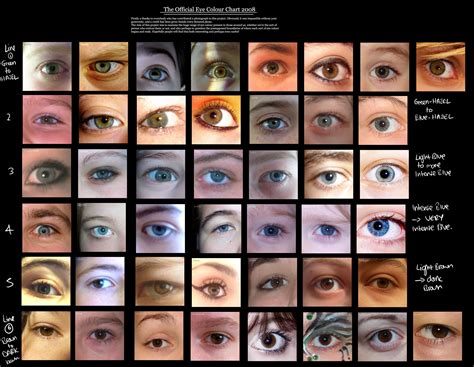 Human Eye coloUr chart by Delpigeon | Eye color chart, Rare eye colors ...