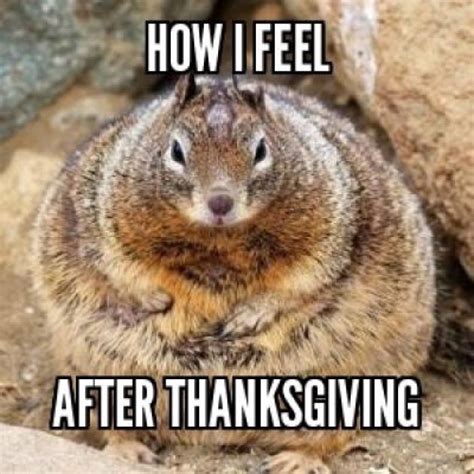 How I Feel After Thanksgiving Pictures, Photos, and Images for Facebook ...