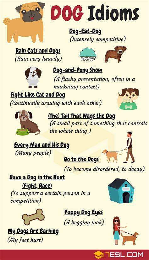 DOG Idioms: 16 Useful DOG Idioms and Sayings • 7ESL