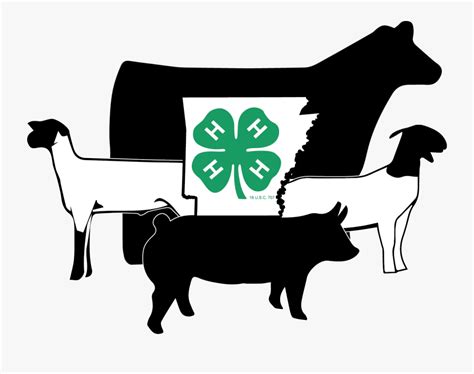 4-h Livestock - Show Pigs Decal , Free Transparent Clipart - ClipartKey