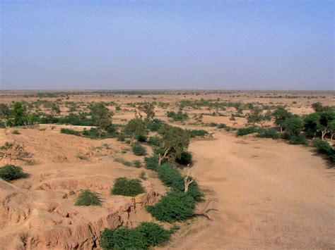 Cholistan Desert, Punjab, Pakistan - March 2008 | Cholistan … | Flickr