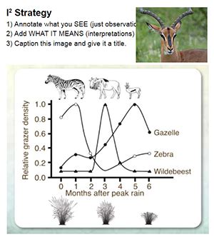 Niche Partitioning - Gorongosa Phenomenon