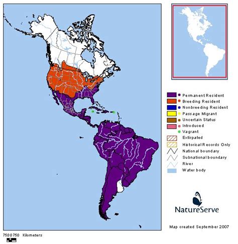 Turkey Vulture - Montana Field Guide