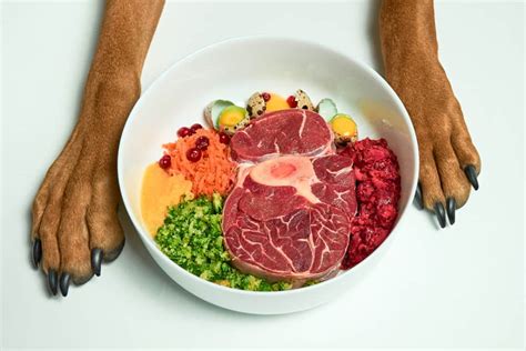 The 10 Best Organic Dog Foods in 2022 - PetMag