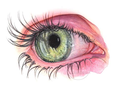 How To Draw A Realistic Human Eye