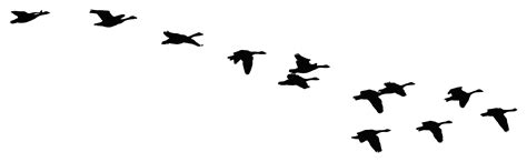 Flying Goose Clipart Black And White