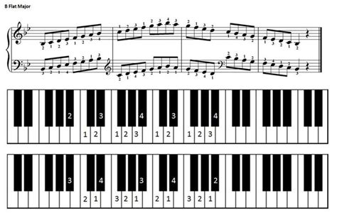 B flat major scale for piano (With images) | Nuty, Pianino