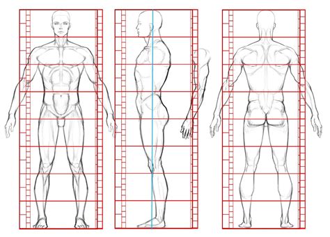 Dessiner ou peindre le corps humain – les proportions partie n° 2 4 ...