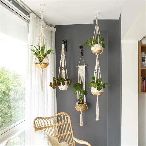 The Joy Of Hanging Plants In Your Living Room – HomeDecorish