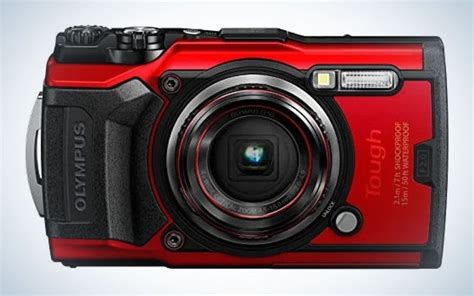 The best low-light cameras of 2023 - EditionsPhotoArt