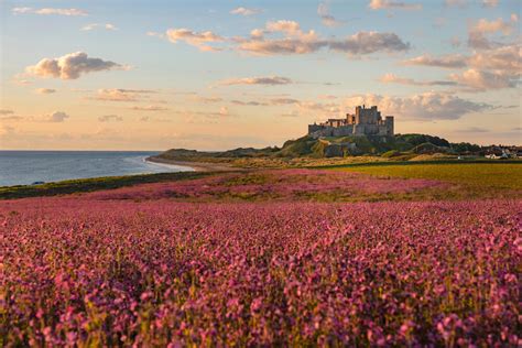 16 Of The Best Luxury Hotels in Northumberland | Slingo Blog