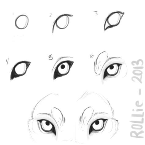 the steps to draw an eye