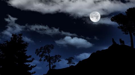 Wolf Howling at the Moon Wallpaper (66+ images)